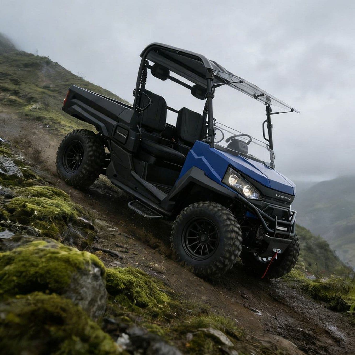 10KW kintamosios srovės variklis 4WD UTV 73.6V 150Ah 670kg Pakrovimas 400mm