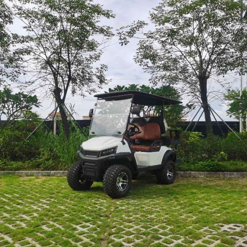 2 vietų elektra pakeliama medžioklės transporto priemonė su ličio baterija H3