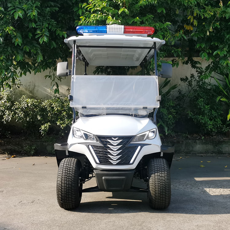 2 vietų elektros apsaugos transporto priemonė