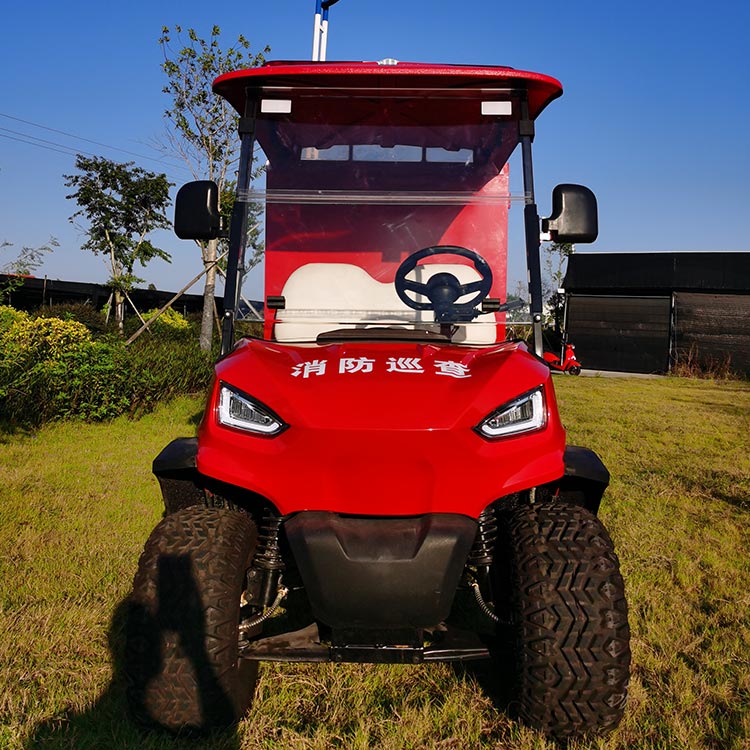 Kokios paskatos galimos perkant elektrinę transporto priemonę