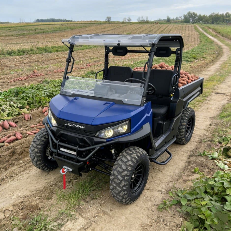 73.6V 4WD UTV 10kw kintamosios srovės variklis EPS vairo 150ah baterija