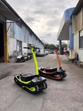 Didelio nuotolio elektrinė vikšrinė sniego lapė